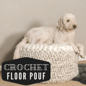 Crochet floor pouf with a dog laying on it