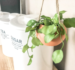 the cutest hanging plant from the target dollar spot is the finishing touch of decor for this adorable coffee bar