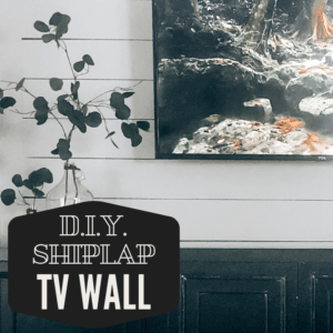 DIY shiplap on TV wall