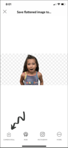 using the picmonkey app to make white background on photos