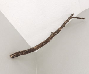 tree branch hanging from the wall