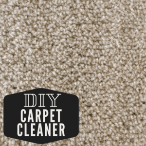 diy carpet cleaner