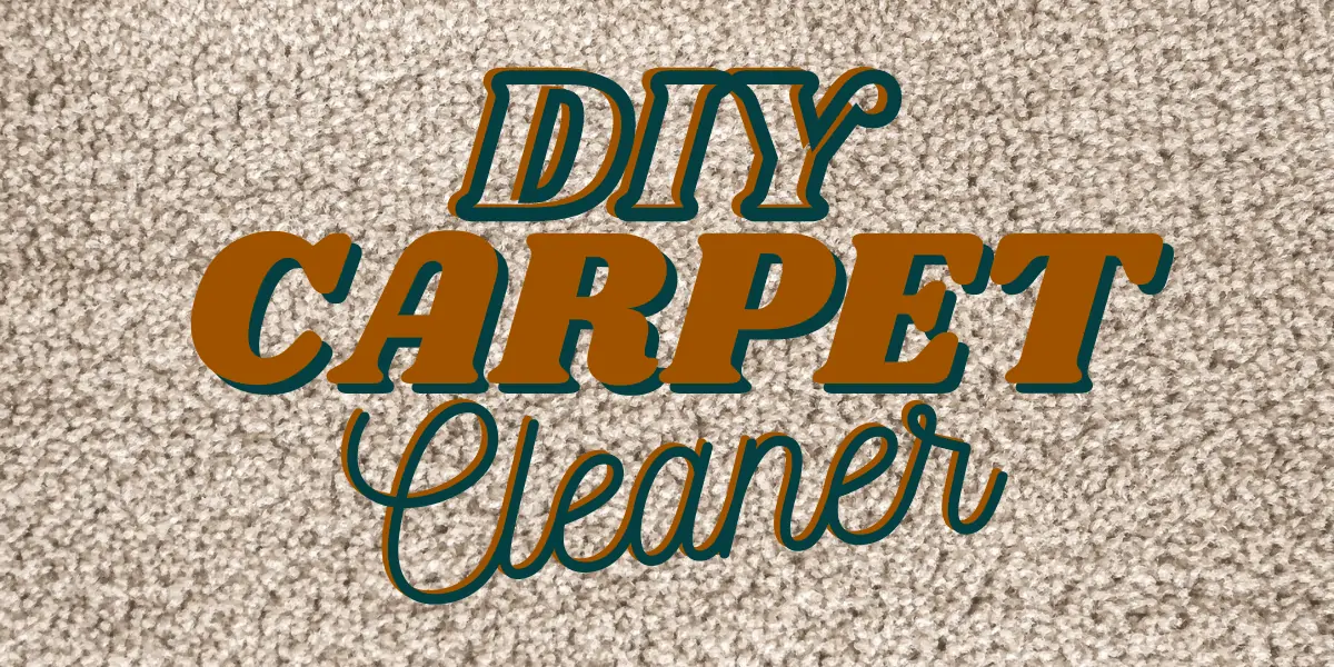 diy carpet cleaning solution