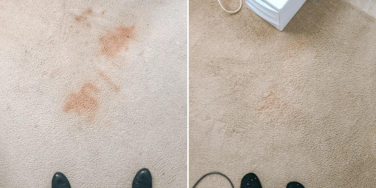 spot cleaning carpet