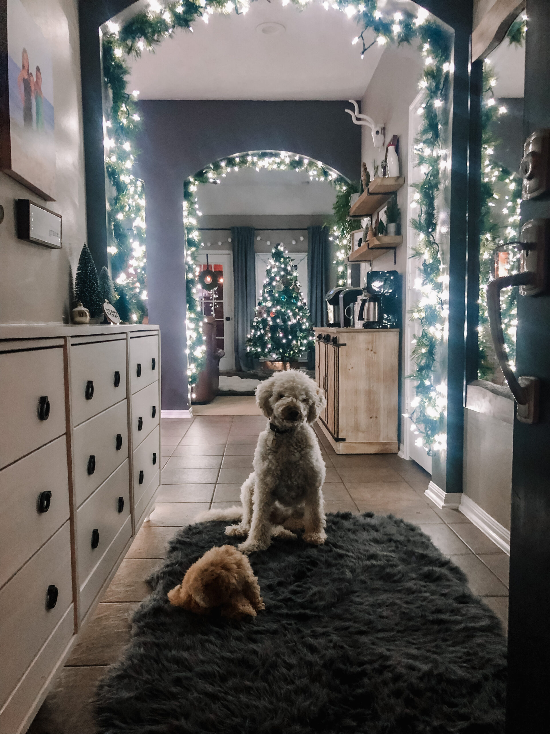 open front door with 2 puppies standing in the middle of beautiful lighted Christmas garland and in front of a christmas tree